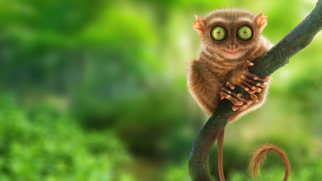 King Julien